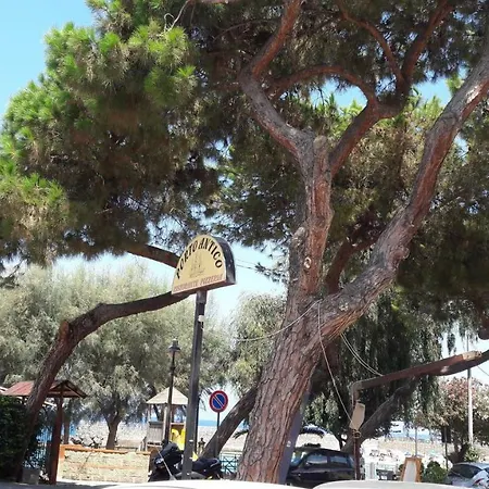 Larghetto Licastro *