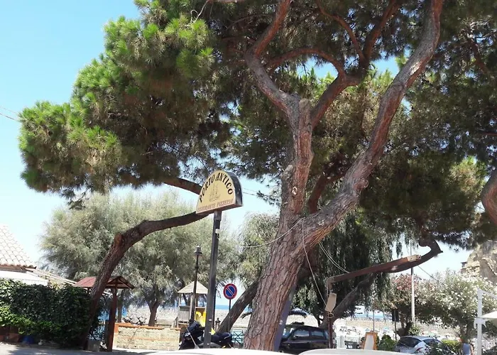 Larghetto Licastro *